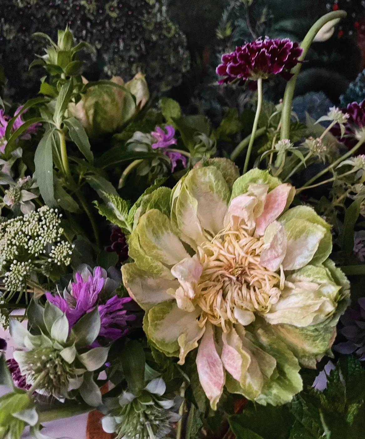 Green hellebore bloom with plum scabiosa and bee balm