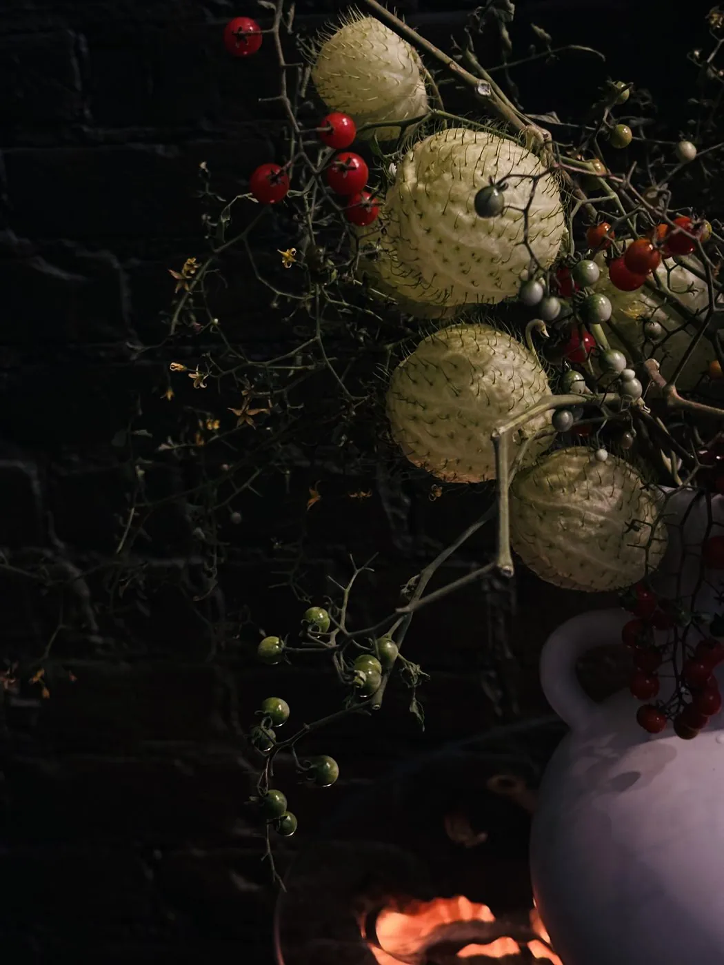 Nightshade vines and berries spilling from a white pitcher by firelight